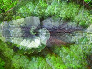 Heart of Perceiving - Continuum Inquiry Heart of Perceiving - Continuum Inquiry