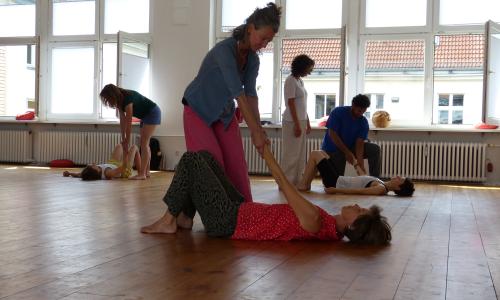 Contact Improvisation und Body-Mind Centering®