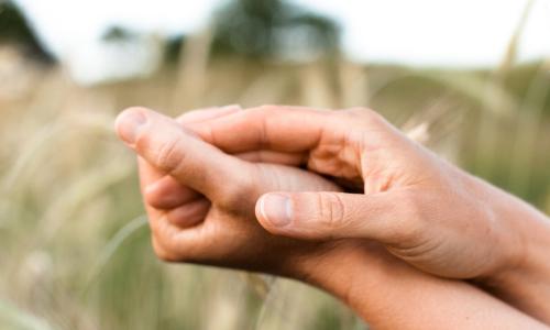 Body-Mind Centering® Woche Berlin