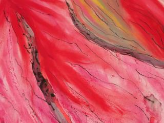 Somatischen Forschung zu Menstruation und Körperbildern Somatischen Forschung zu Menstruation und Körperbildern