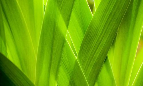 Atem-Tonus-Ton® im Februar Atem-Tonus-Ton® im Februar