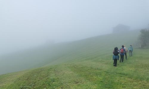 Orientierung & Wege
